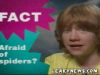 Thumb_factorfake_discoverykids_0604_part1 27